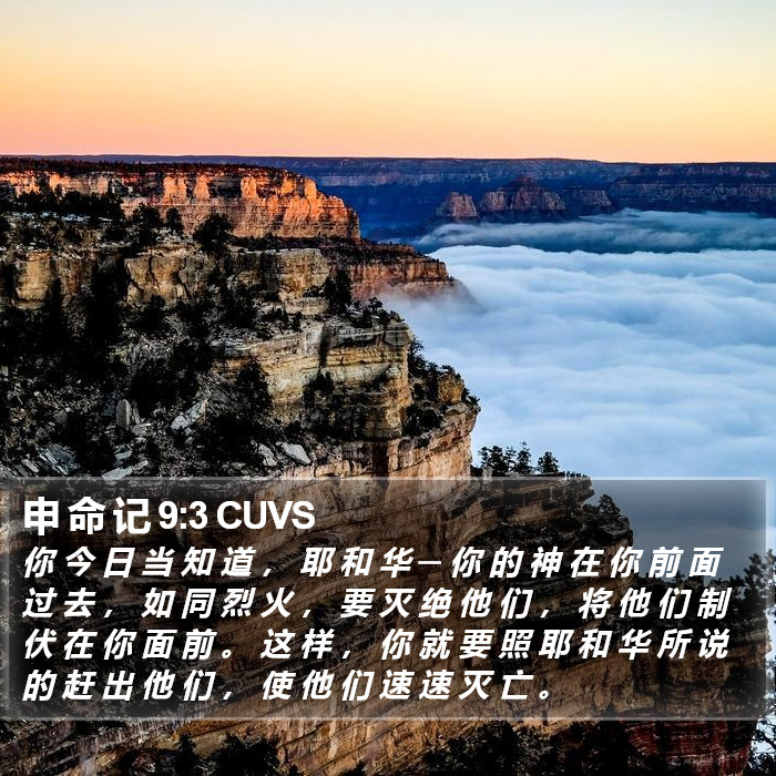 申 命 记 9:3 CUVS Bible Study