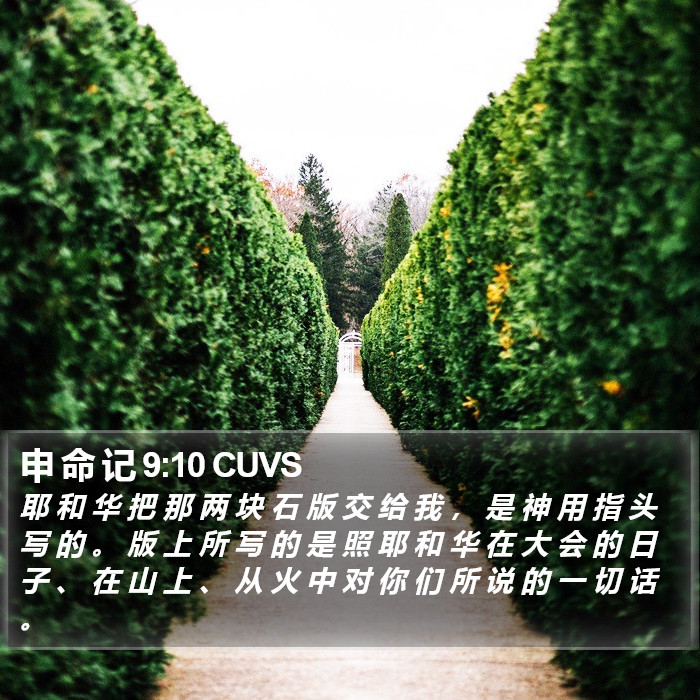 申 命 记 9:10 CUVS Bible Study