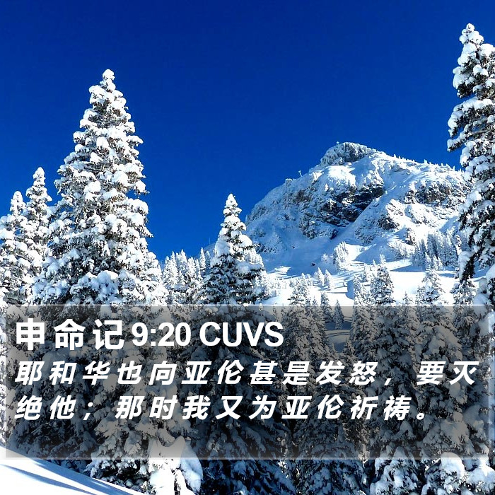 申 命 记 9:20 CUVS Bible Study
