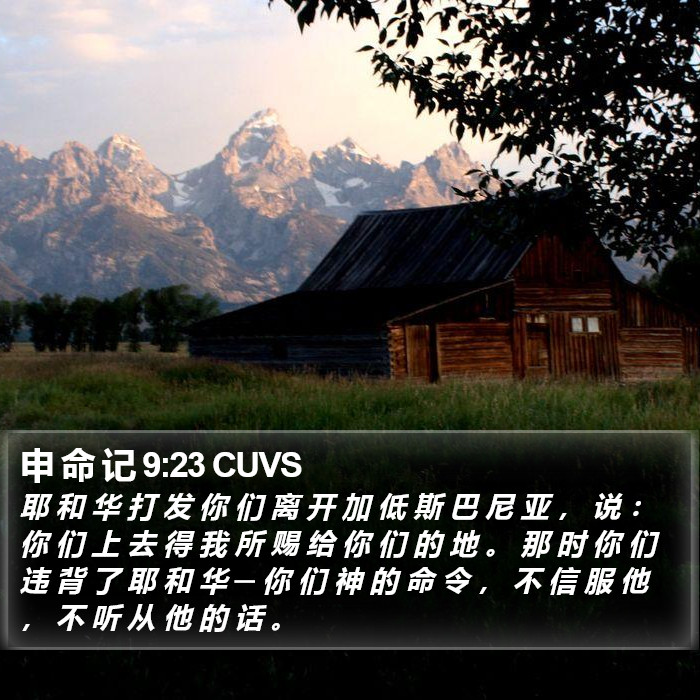申 命 记 9:23 CUVS Bible Study