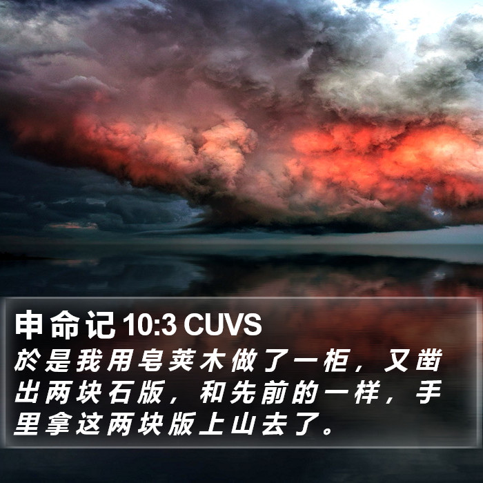 申 命 记 10:3 CUVS Bible Study