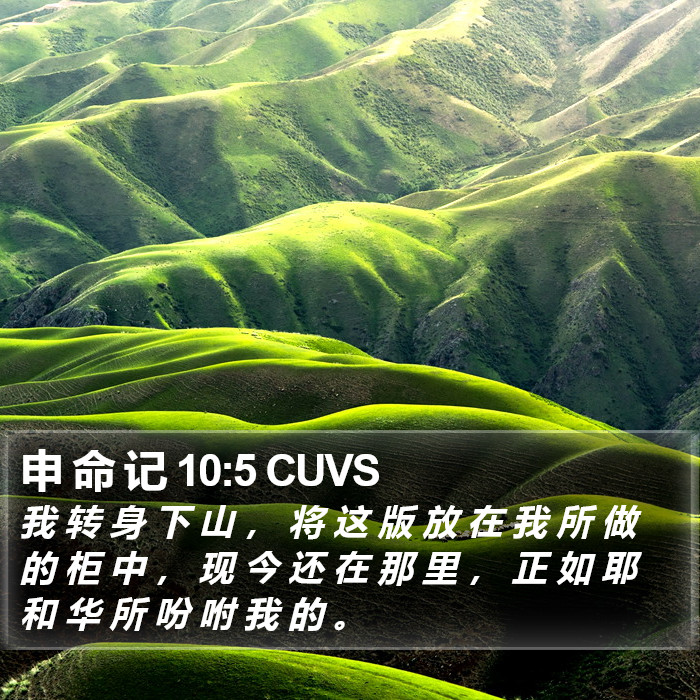 申 命 记 10:5 CUVS Bible Study