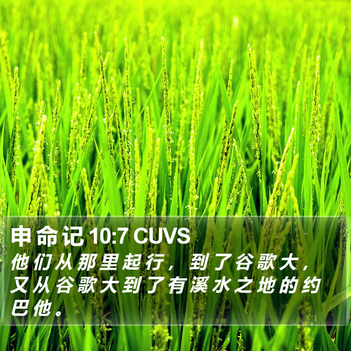 申 命 记 10:7 CUVS Bible Study