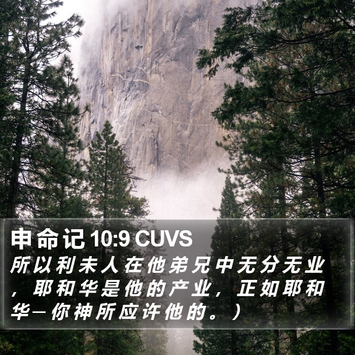 申 命 记 10:9 CUVS Bible Study