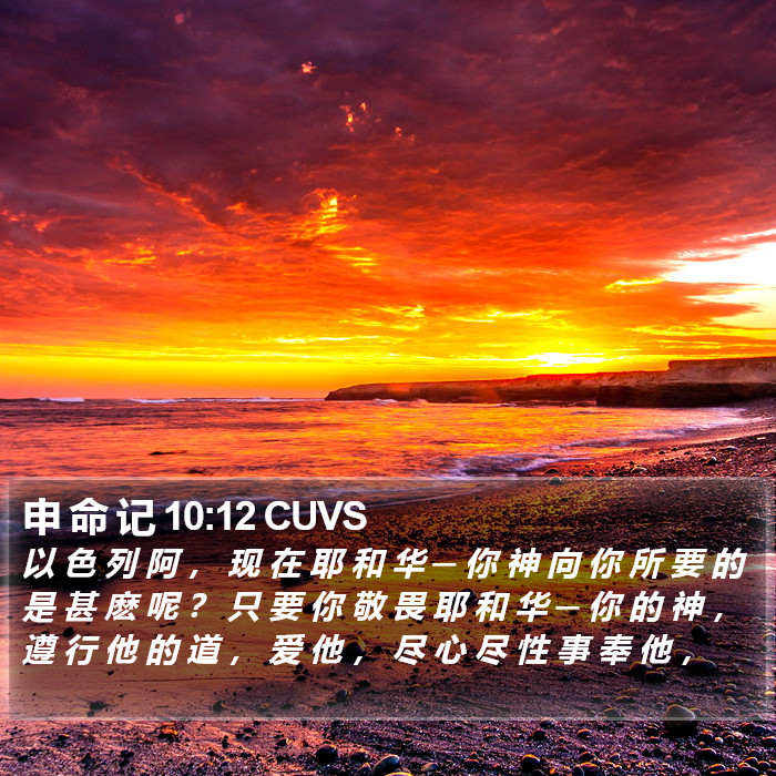 申 命 记 10:12 CUVS Bible Study