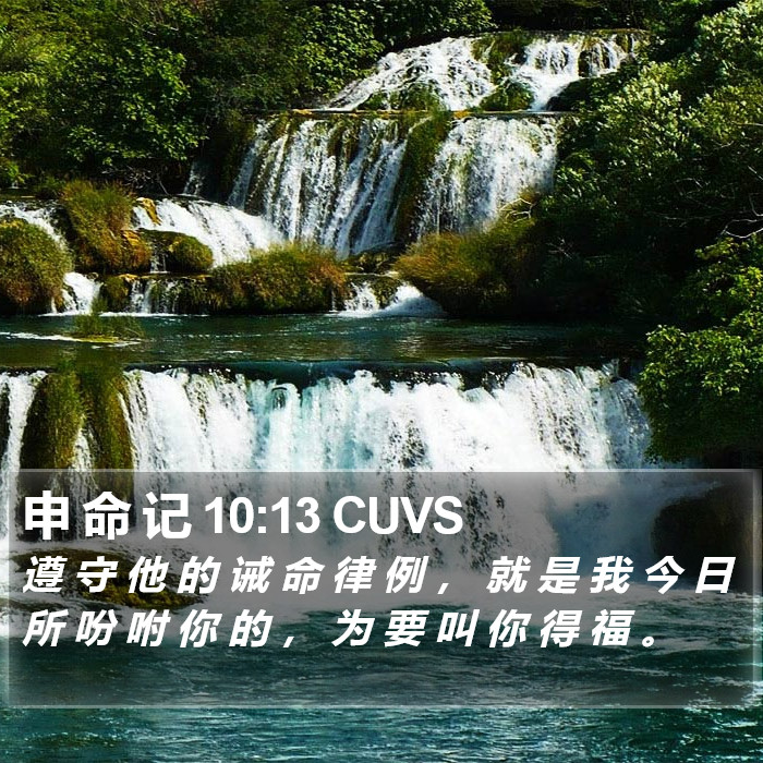 申 命 记 10:13 CUVS Bible Study