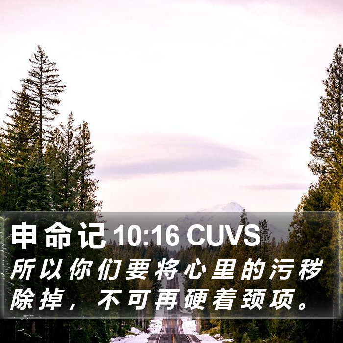 申 命 记 10:16 CUVS Bible Study