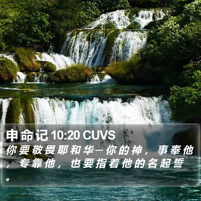 申 命 记 10:20 CUVS Bible Study