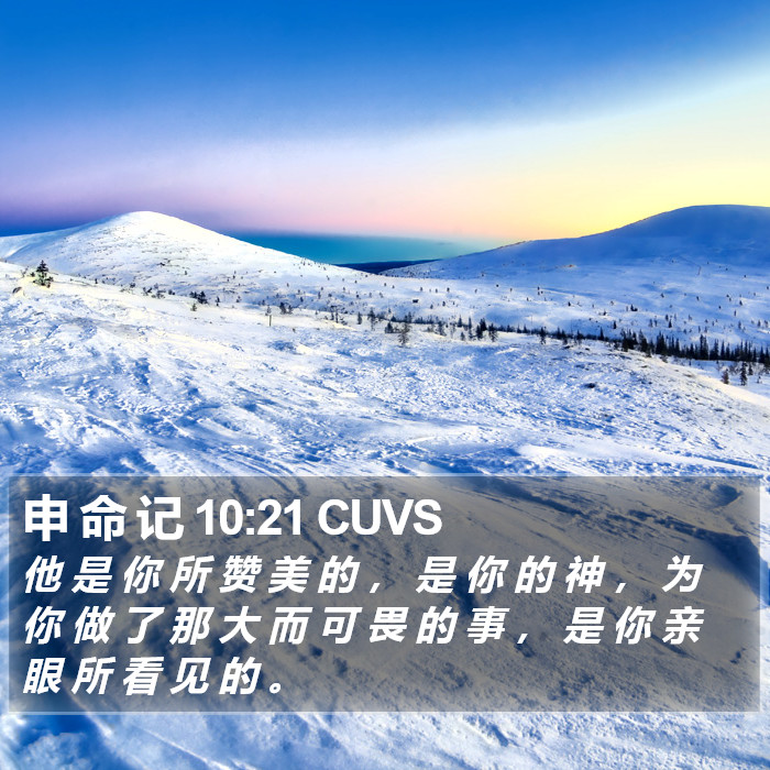 申 命 记 10:21 CUVS Bible Study