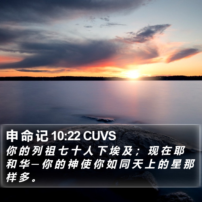 申 命 记 10:22 CUVS Bible Study