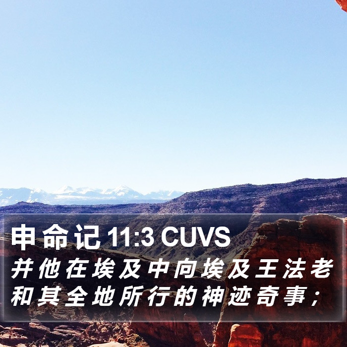 申 命 记 11:3 CUVS Bible Study
