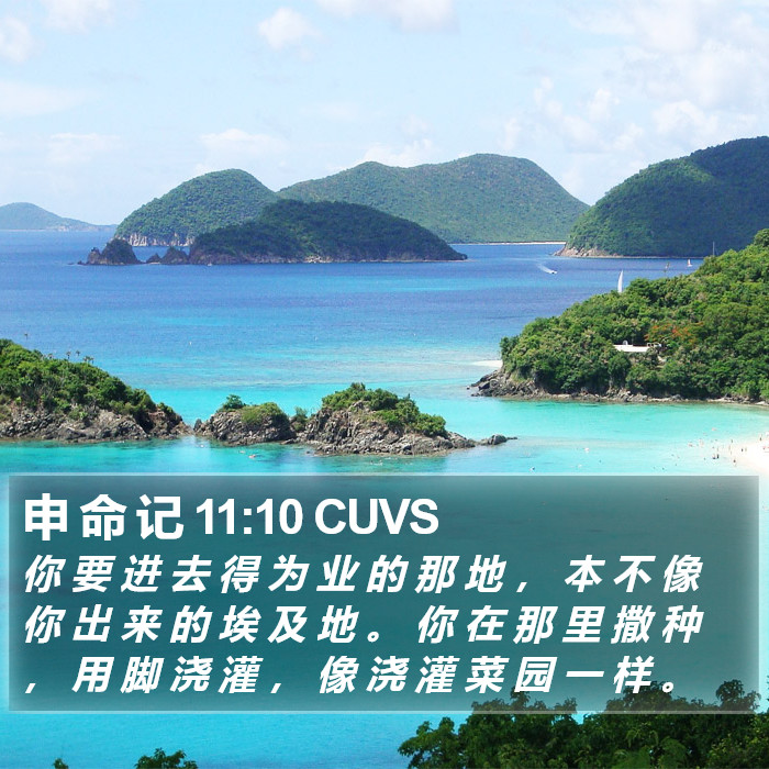 申 命 记 11:10 CUVS Bible Study