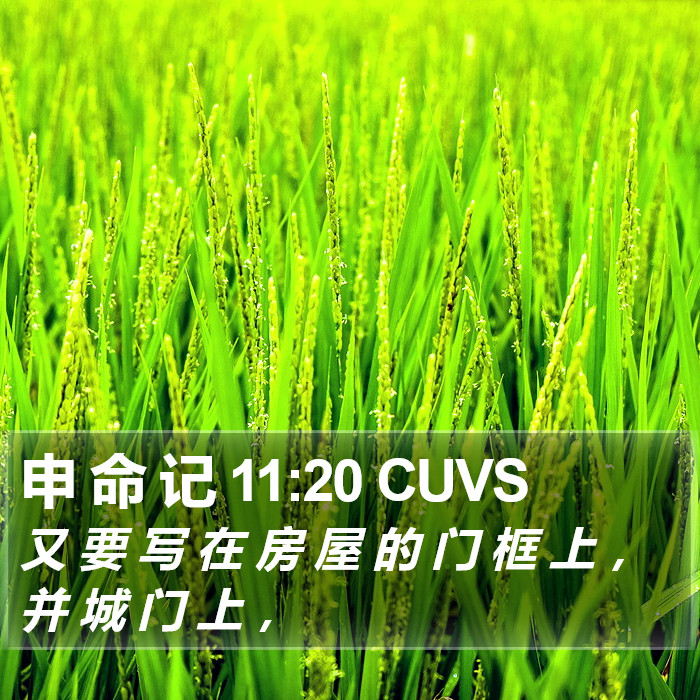 申 命 记 11:20 CUVS Bible Study