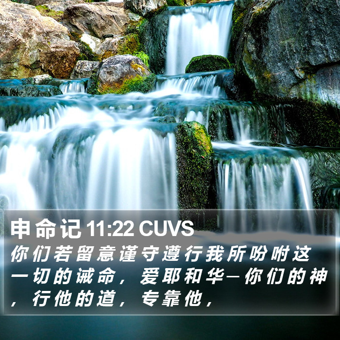 申 命 记 11:22 CUVS Bible Study