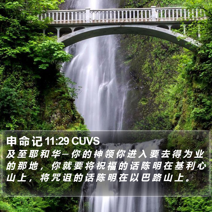 申 命 记 11:29 CUVS Bible Study