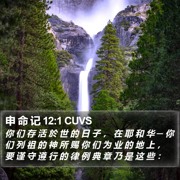 申 命 记 12:1 CUVS Bible Study