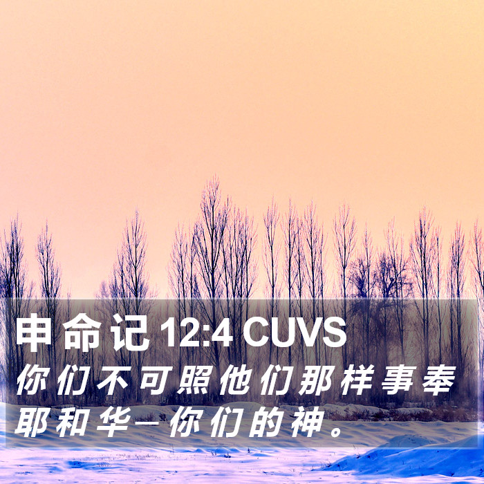 申 命 记 12:4 CUVS Bible Study