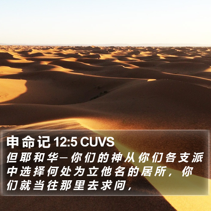 申 命 记 12:5 CUVS Bible Study