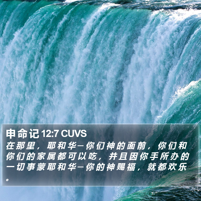 申 命 记 12:7 CUVS Bible Study