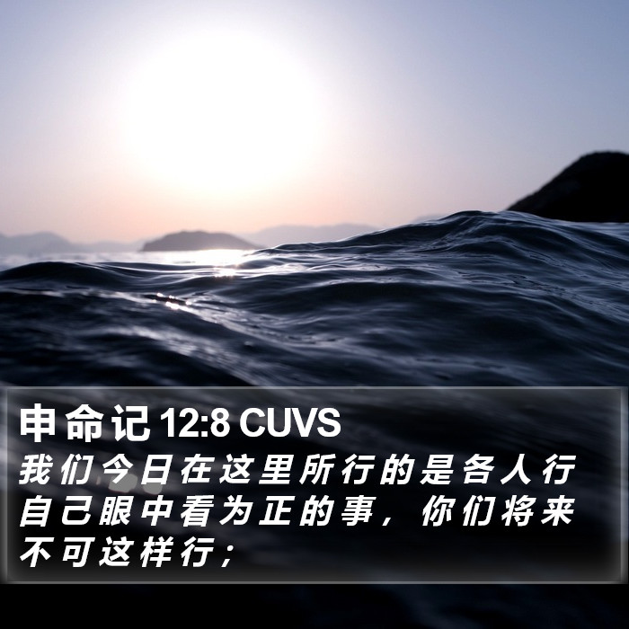 申 命 记 12:8 CUVS Bible Study