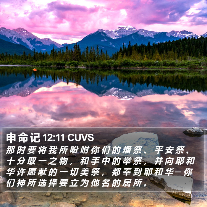 申 命 记 12:11 CUVS Bible Study