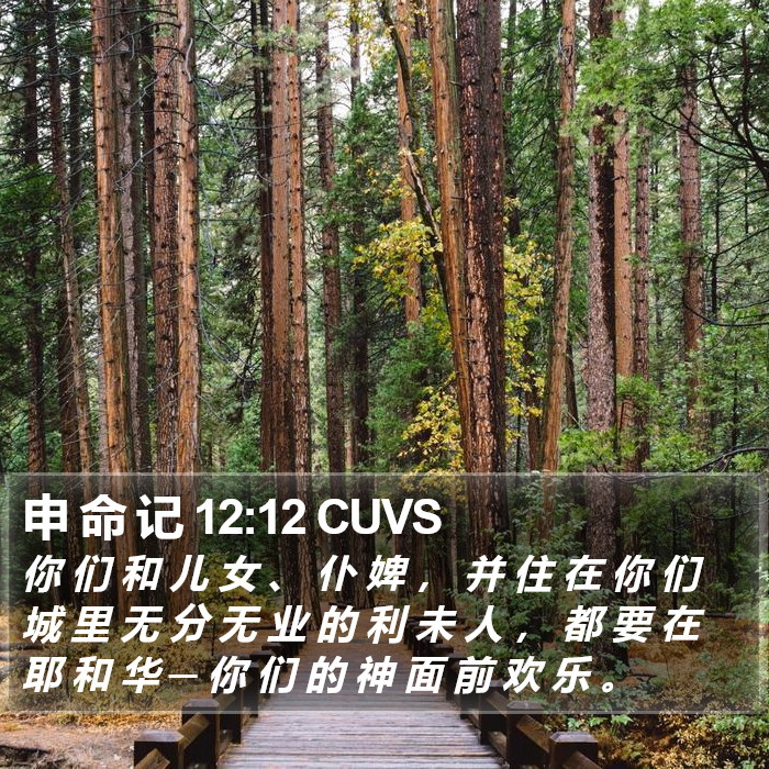 申 命 记 12:12 CUVS Bible Study