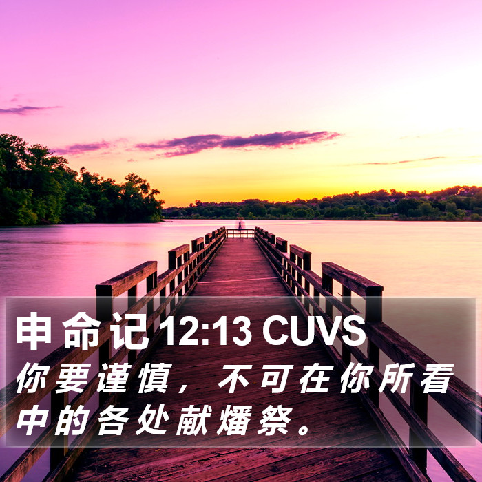 申 命 记 12:13 CUVS Bible Study