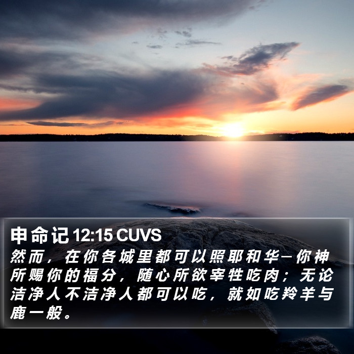 申 命 记 12:15 CUVS Bible Study