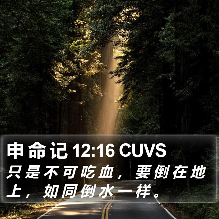 申 命 记 12:16 CUVS Bible Study