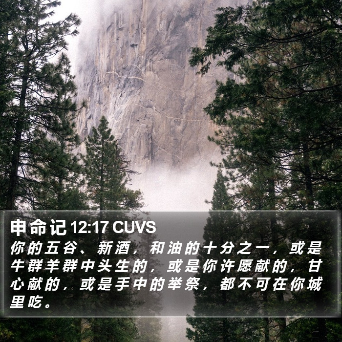 申 命 记 12:17 CUVS Bible Study