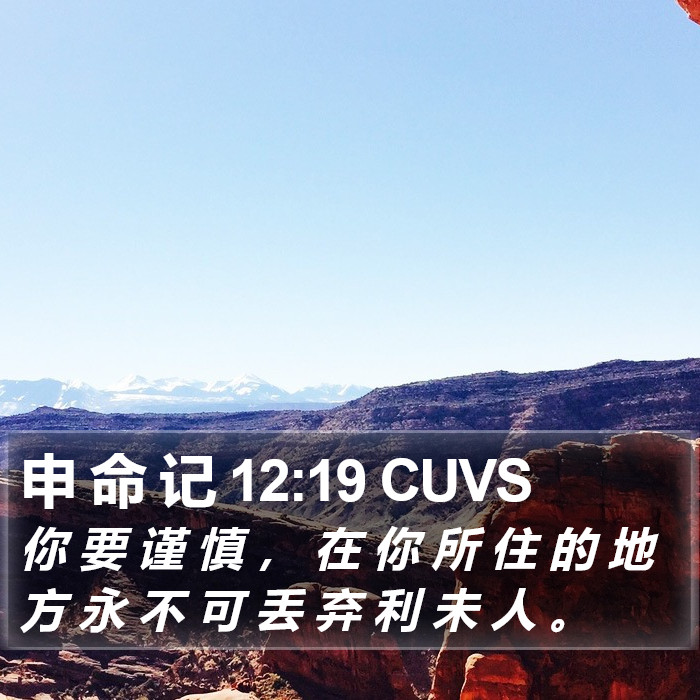 申 命 记 12:19 CUVS Bible Study