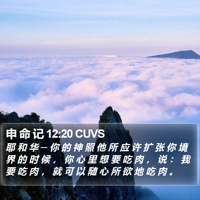 申 命 记 12:20 CUVS Bible Study