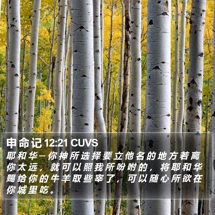 申 命 记 12:21 CUVS Bible Study