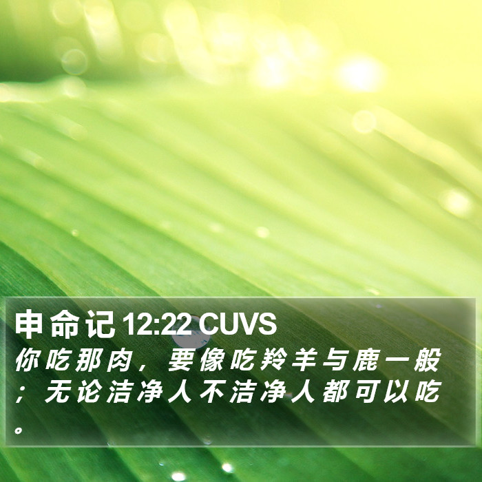 申 命 记 12:22 CUVS Bible Study