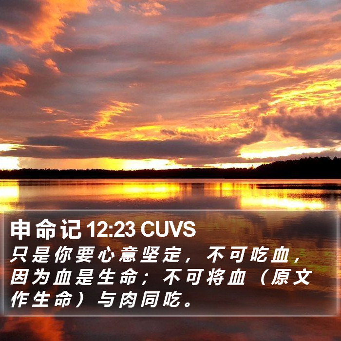 申 命 记 12:23 CUVS Bible Study