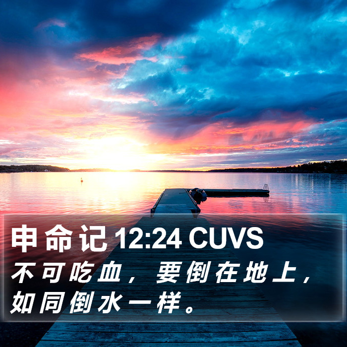 申 命 记 12:24 CUVS Bible Study