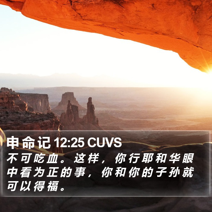 申 命 记 12:25 CUVS Bible Study