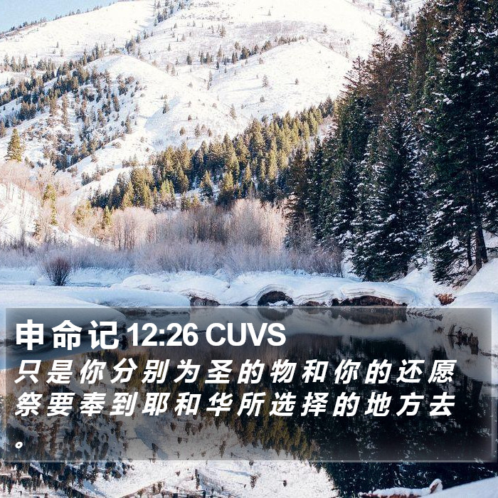 申 命 记 12:26 CUVS Bible Study