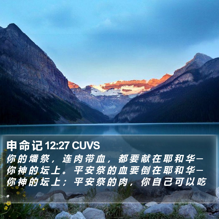 申 命 记 12:27 CUVS Bible Study