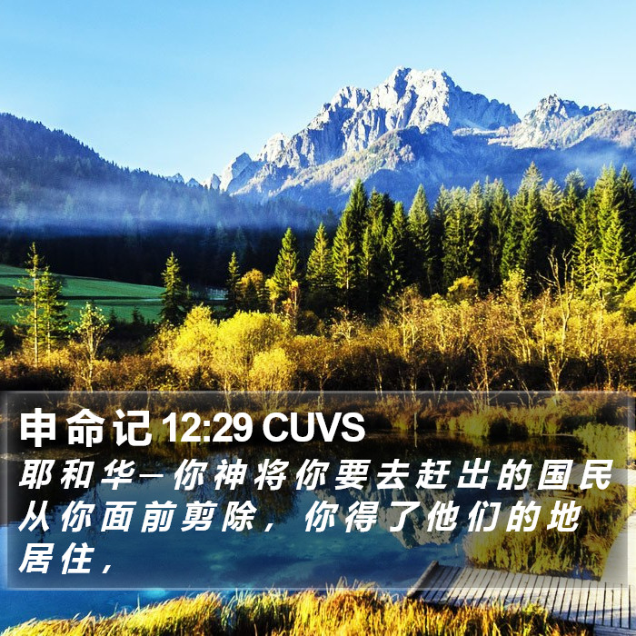 申 命 记 12:29 CUVS Bible Study