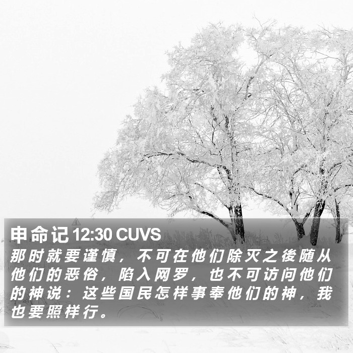 申 命 记 12:30 CUVS Bible Study