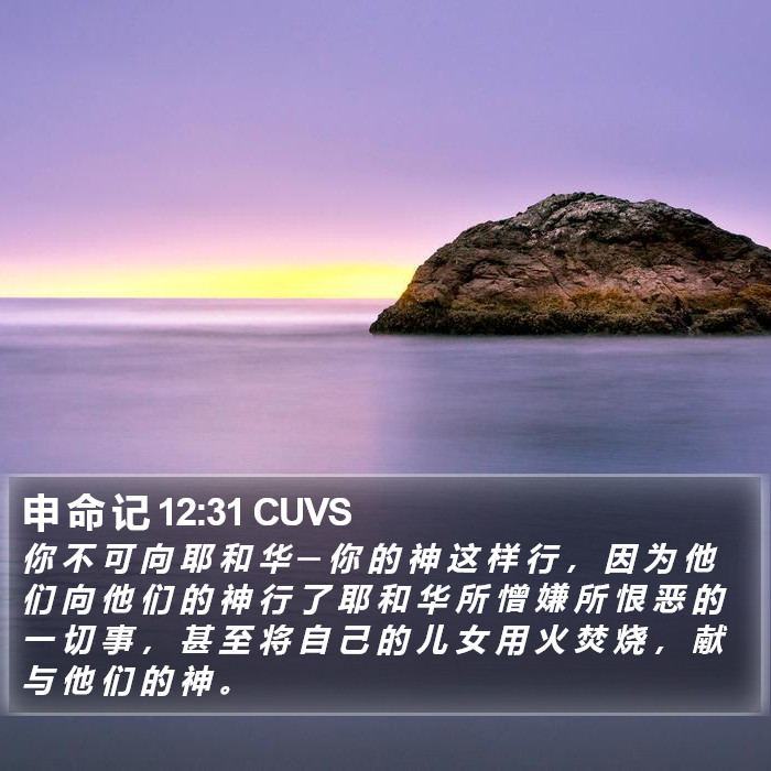 申 命 记 12:31 CUVS Bible Study