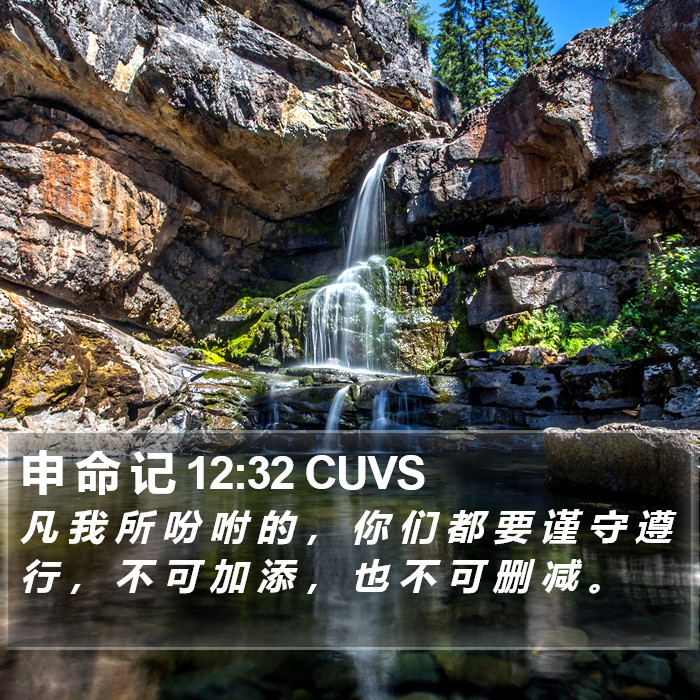 申 命 记 12:32 CUVS Bible Study