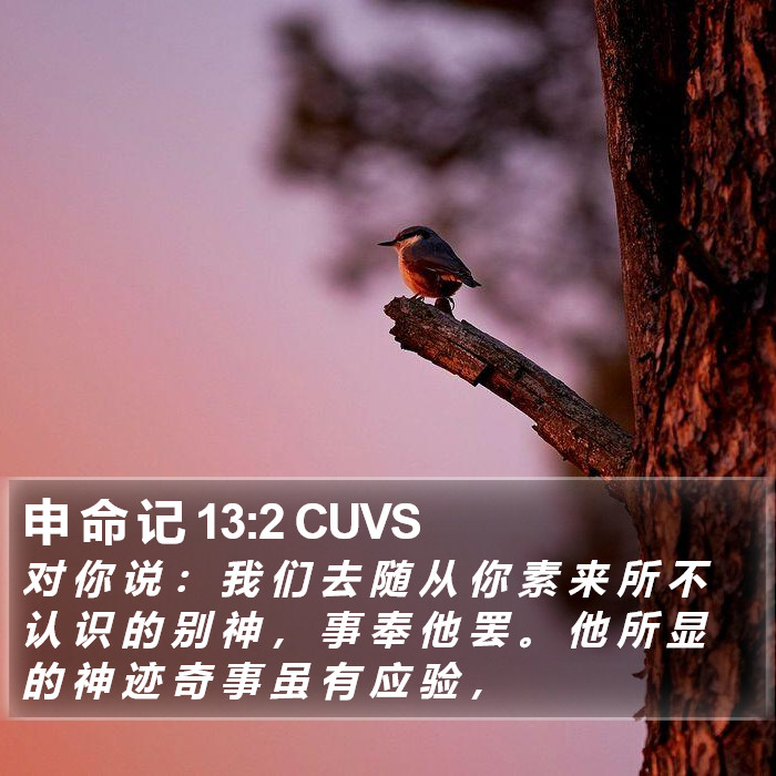 申 命 记 13:2 CUVS Bible Study