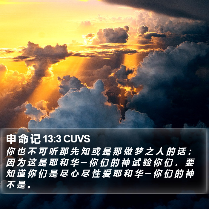 申 命 记 13:3 CUVS Bible Study