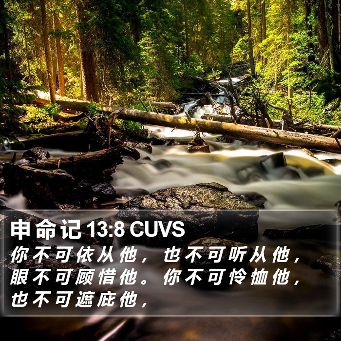 申 命 记 13:8 CUVS Bible Study