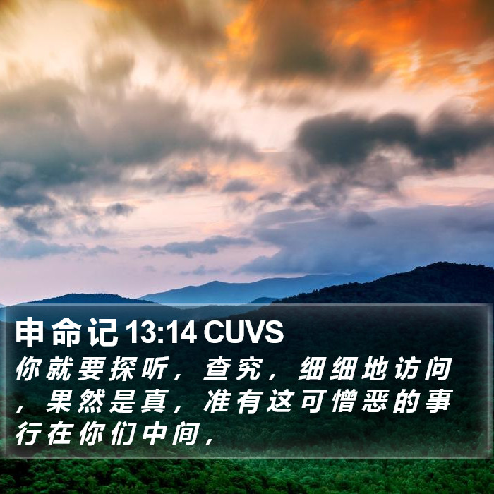 申 命 记 13:14 CUVS Bible Study