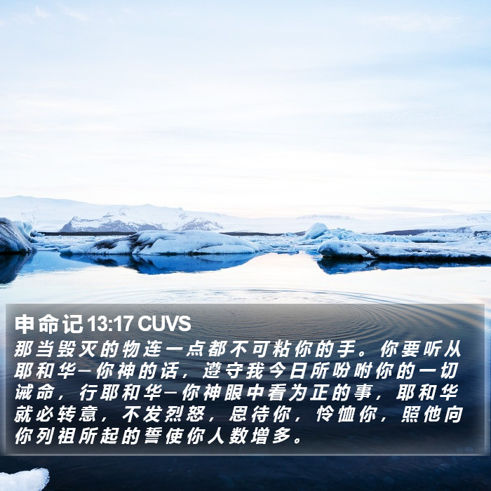 申 命 记 13:17 CUVS Bible Study