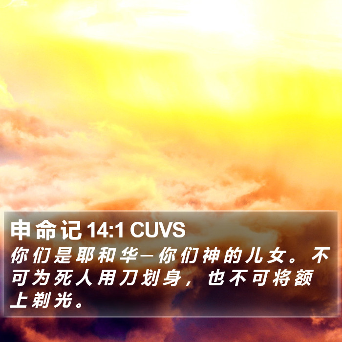 申 命 记 14:1 CUVS Bible Study