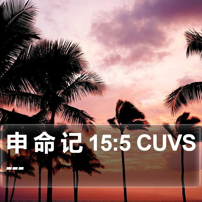 申 命 记 15:5 CUVS Bible Study